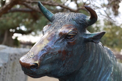 みんなの願いに輝いて