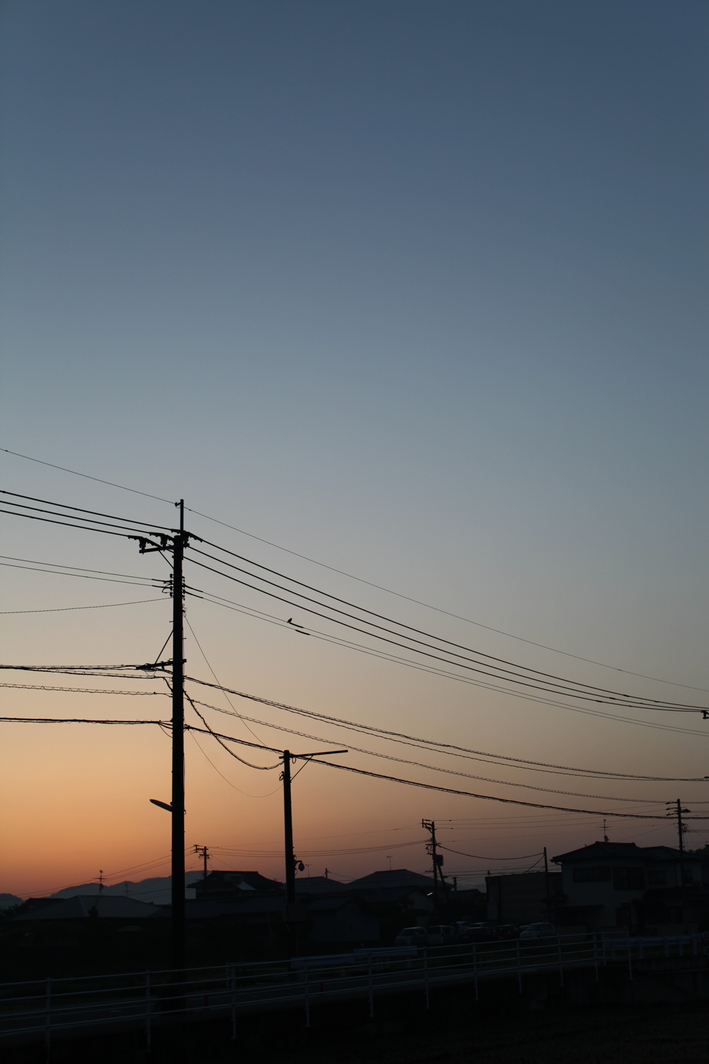 朝のエネルギー