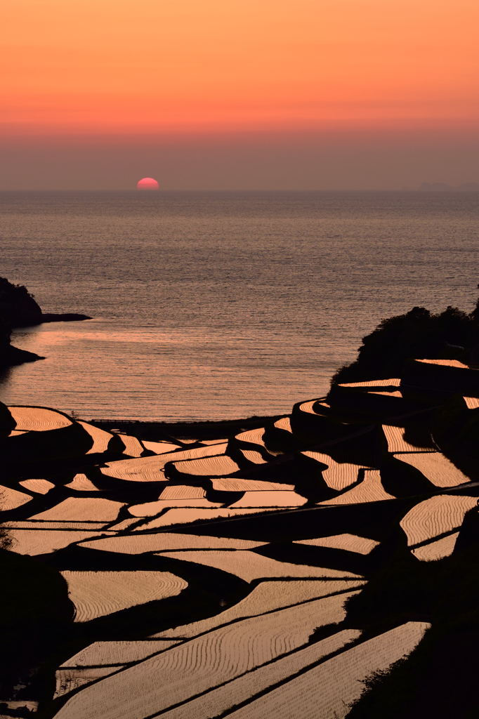 浜野浦の棚田