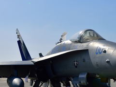 Ｆ／Ａ－１８　ホ－ネット