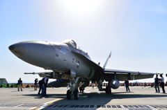Ｆ／Ａ－１８　ホ－ネット