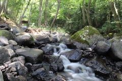 夏の川