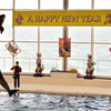 A HAPPY NEW YEAR