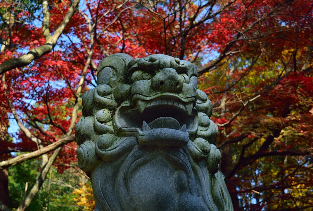 動かざること山の如し