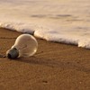 一人ぼっちの灯り