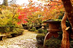石油の里