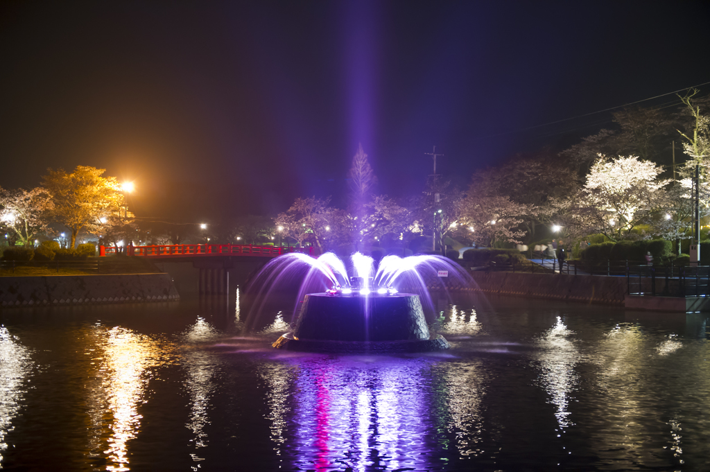 夜桜と噴水花火 2