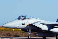 航空祭 オープニングフライト 2015（築城）