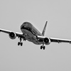STARFLYER
