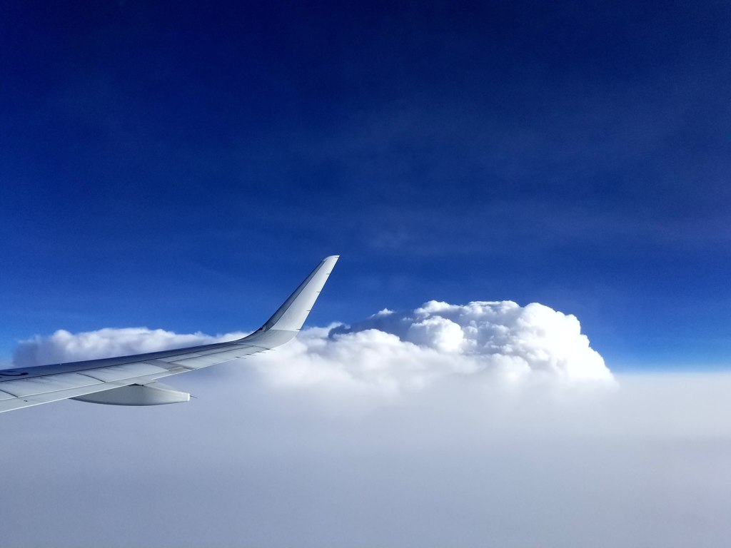晴れ渡る空！