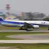ANA流し