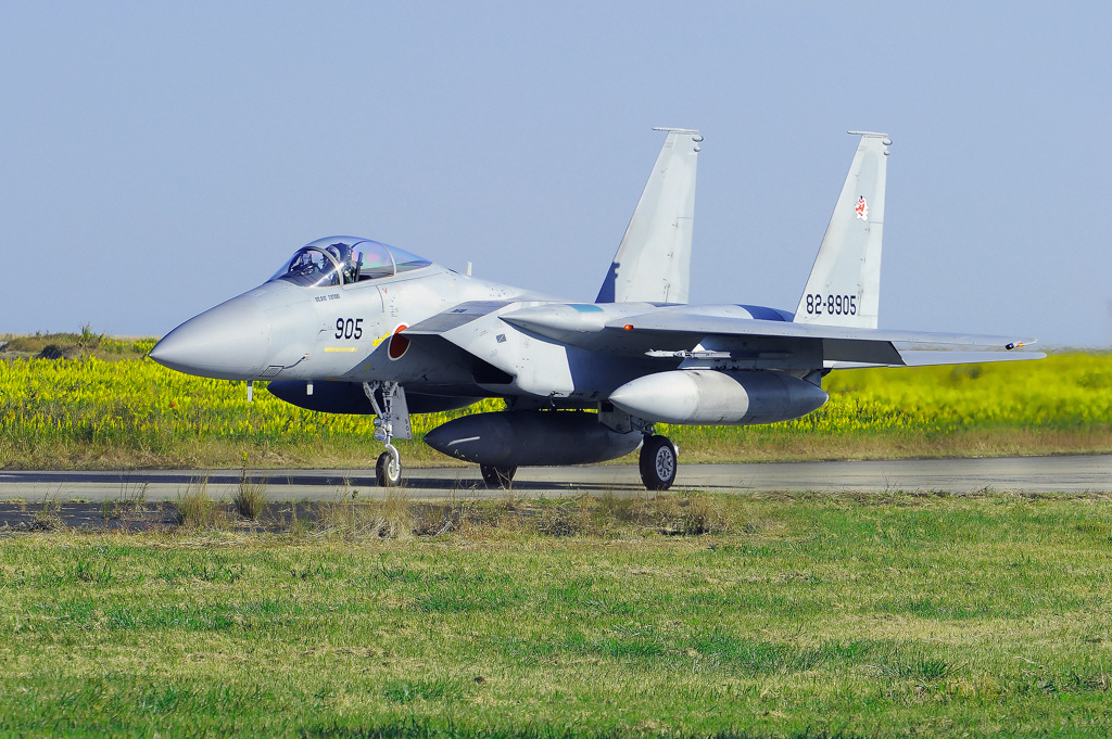 航空祭 オープニング　2015（築城）