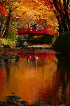 小国神社　紅葉　見ごろ