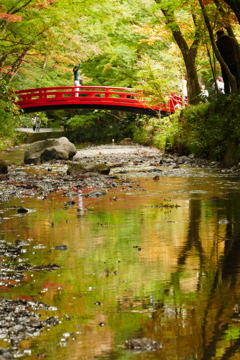 紅葉早き小国神社