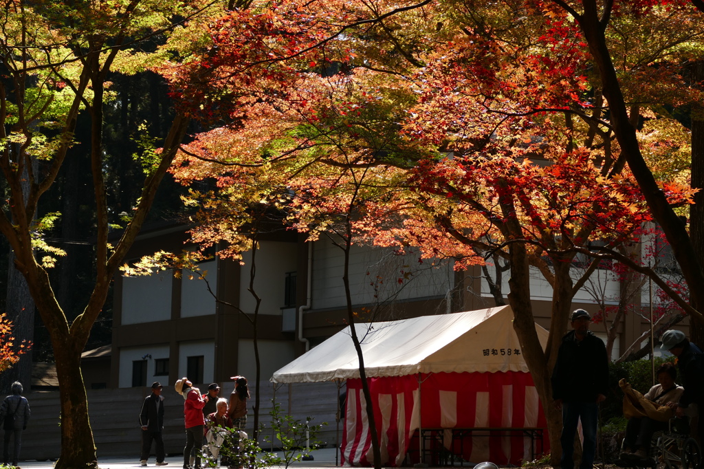 紅葉狩り