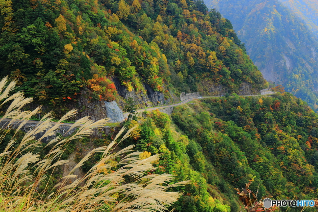 秋深まる道