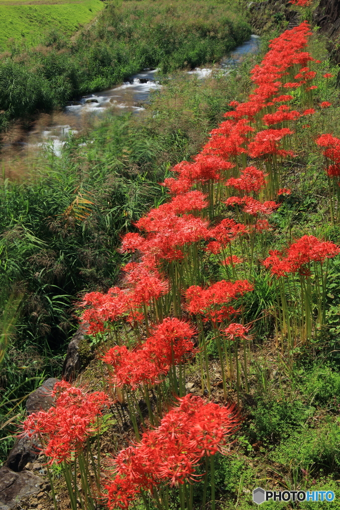 里山も秋へ