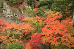 那谷寺の紅葉