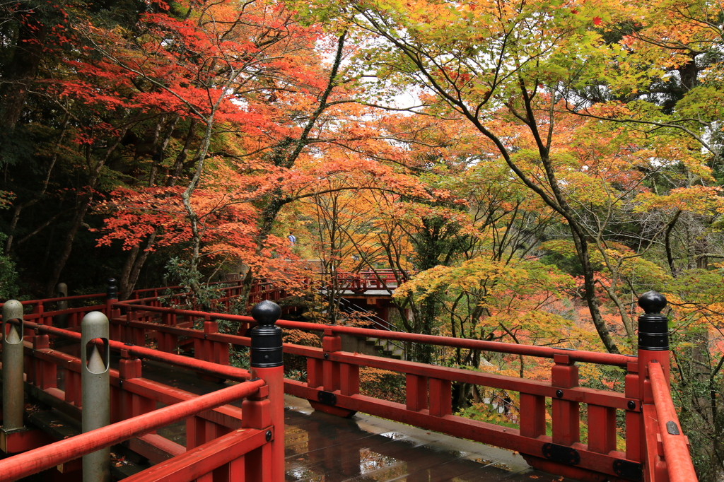 那谷寺　楓月橋