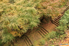 秋の壇