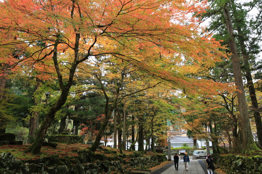 永平寺　参道