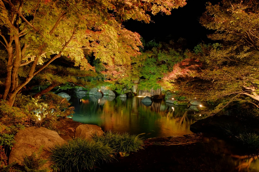 紅葉ライトアップ