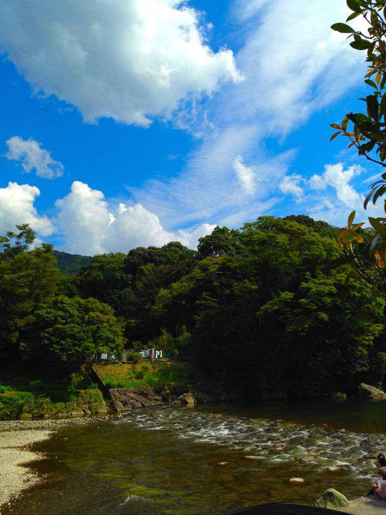 空・木・川