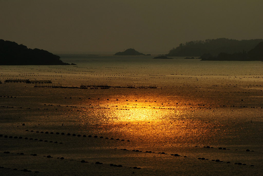 朝日に輝く志津川湾