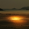 朝日に輝く志津川湾