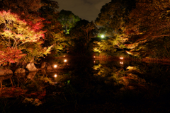 白鳥庭園 鏡面の紅葉