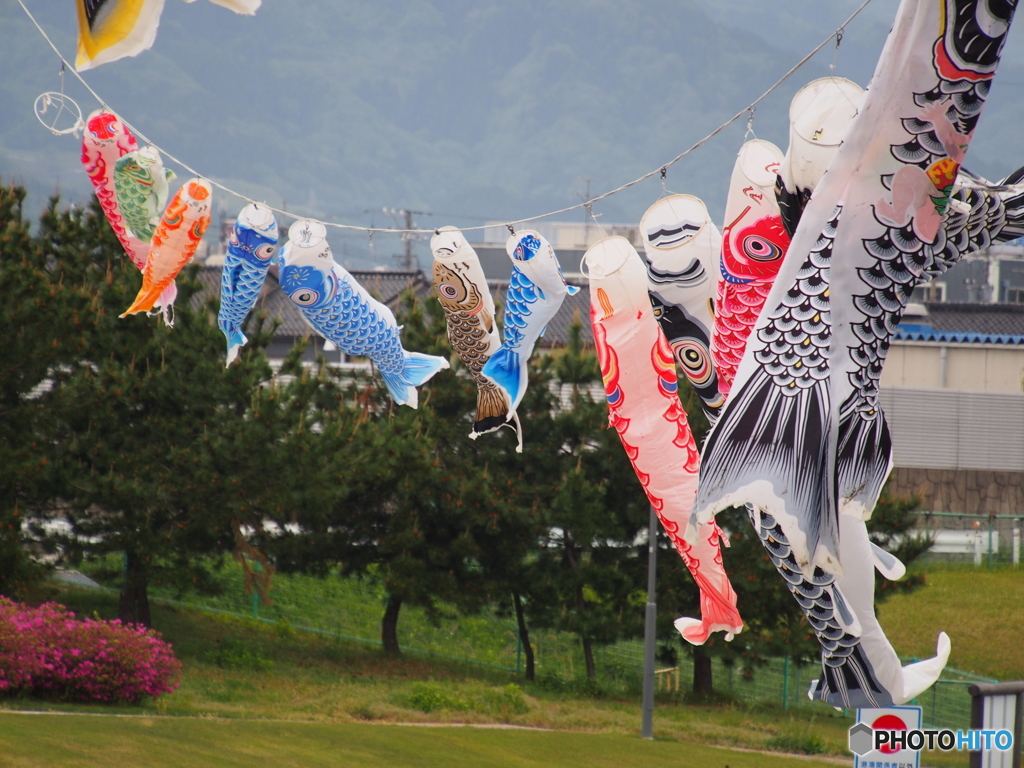 立山よりは低いが