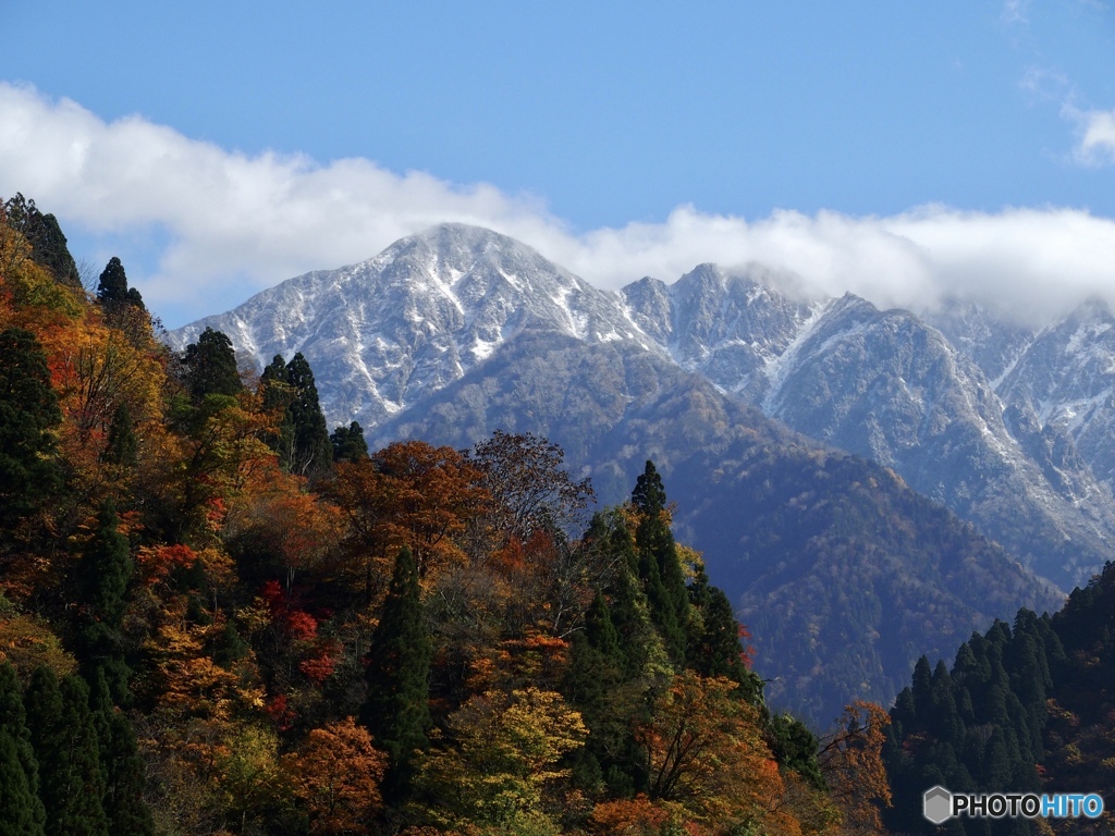 紅葉美しい