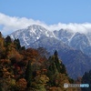 紅葉美しい