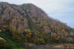 高谷池