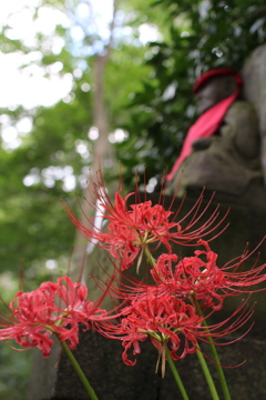 曼珠沙華とお地蔵さま