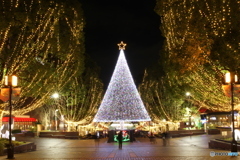クリスマスツリー　多摩センター