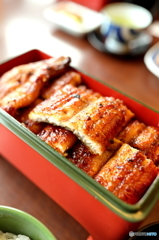 鰻