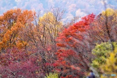 日光紅葉1