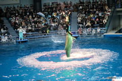 水族館3