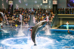 水族館2
