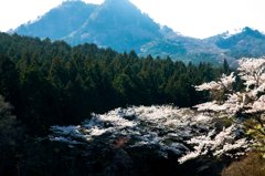 古賀志山