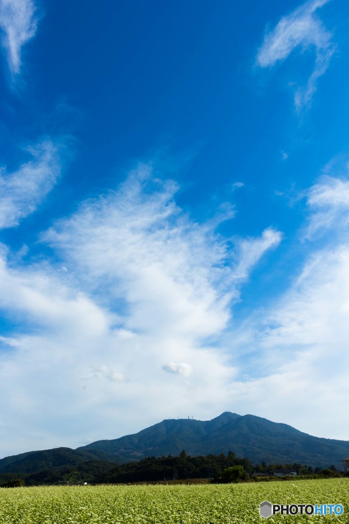 蕎麦の花と筑波山２