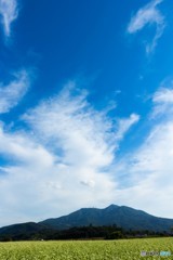 蕎麦の花と筑波山２