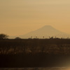 富士山三昧