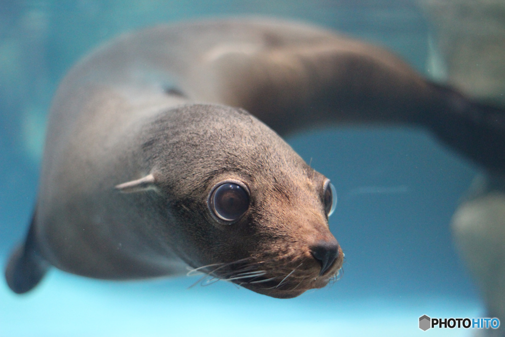 水族館