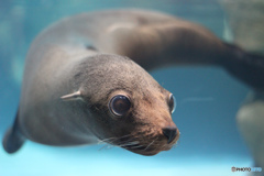 水族館