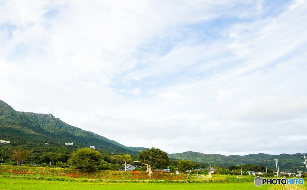 筑波山4