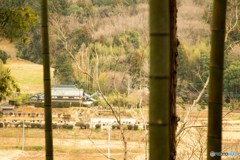 里山の光