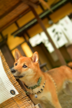 いち