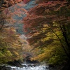 紅葉１−大芦川（鹿沼）にて